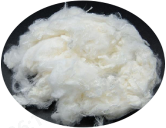 问鼎娱乐下载科技